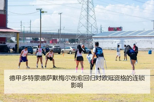 德甲多特蒙德萨默梅尔伤愈回归对欧冠资格的连锁影响